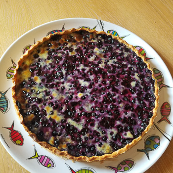 Evie - Tarte aux myrtilles #