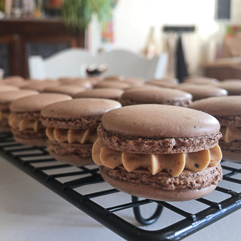 Manounette - Macaron chocolat #