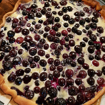 RORO - Tarte aux myrtilles #