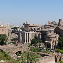 Forum Palatin Rome