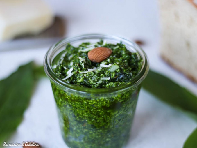 Pesto ail des ours sans pignon de pain