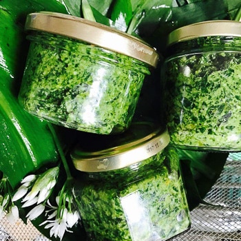 Margaux A - Pesto ail des ours #