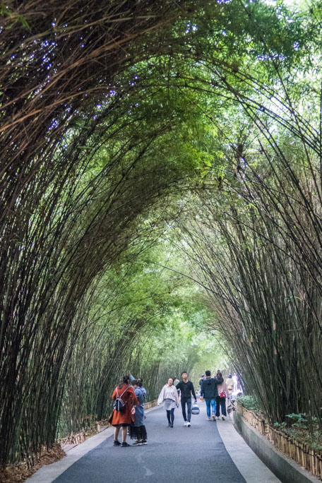 Centre panda Chengdu