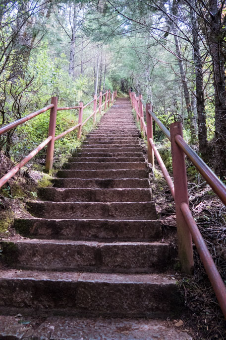 Escalier Black Dragon Pool Park