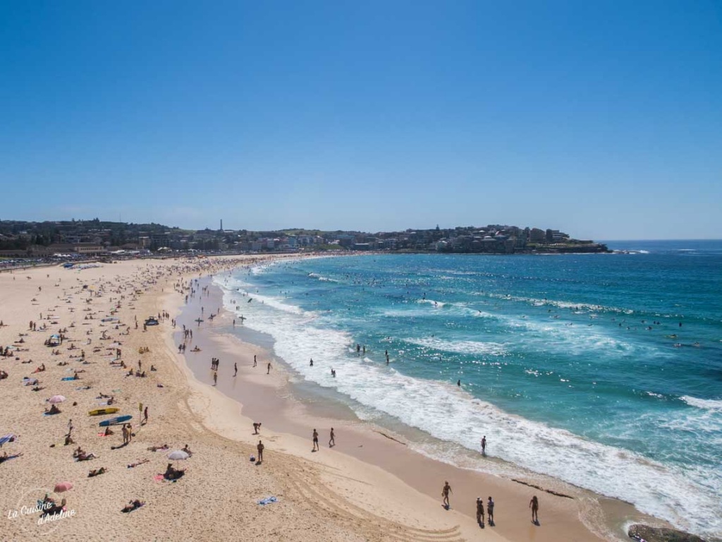 Bondi Beach Sydney