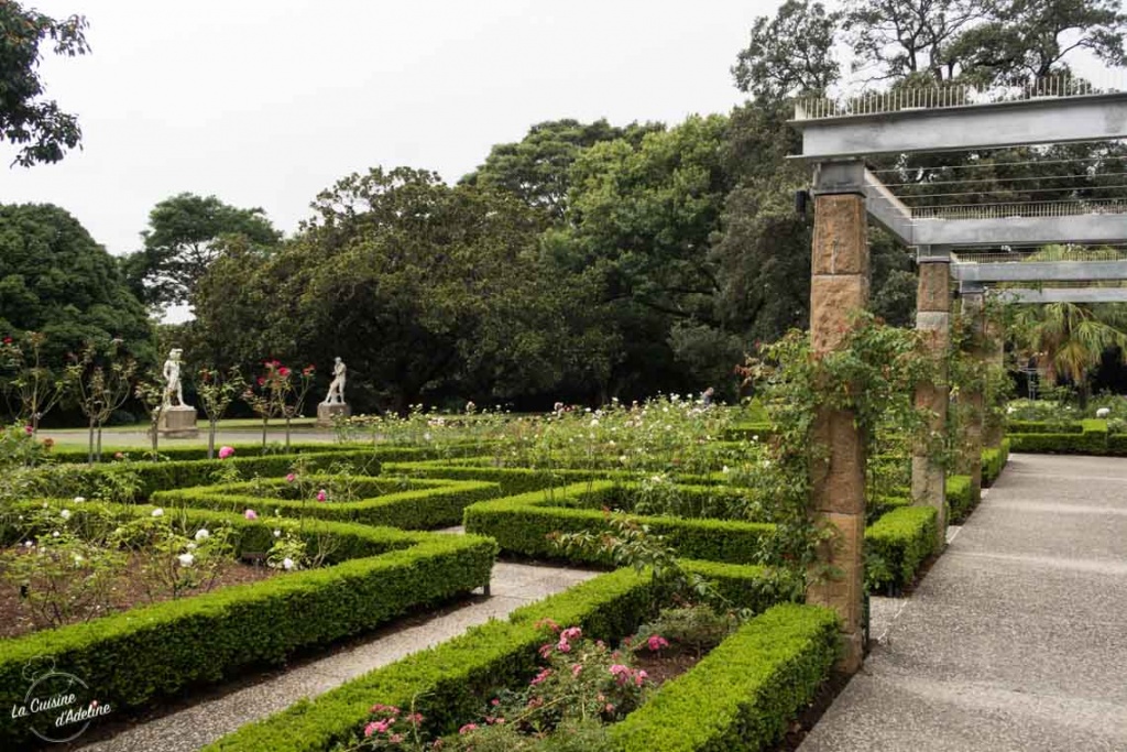 Jardin Botanic - Botanical Garden Sydney