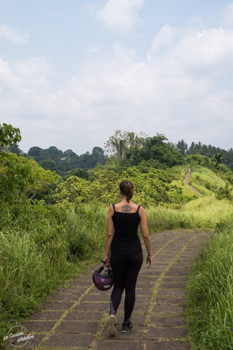 Balade rizière Campuhan Ridge Ubud - Bali