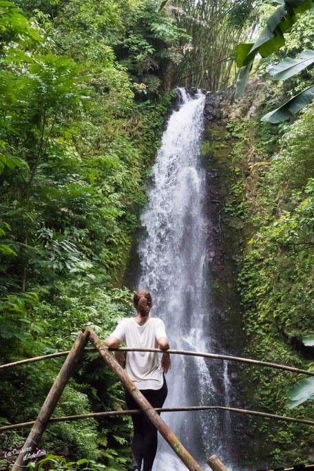 Cascade Laagan Munduk