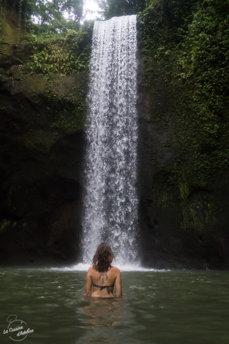 Cascade Ubud Bali