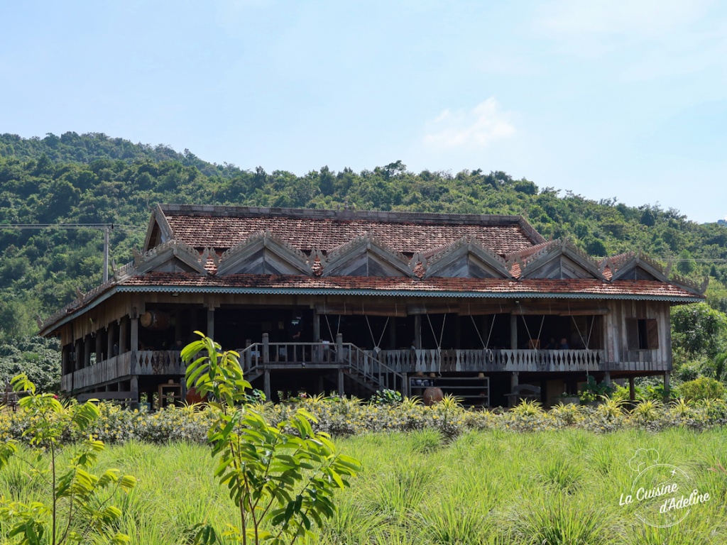 La plantation poivre de Kampot