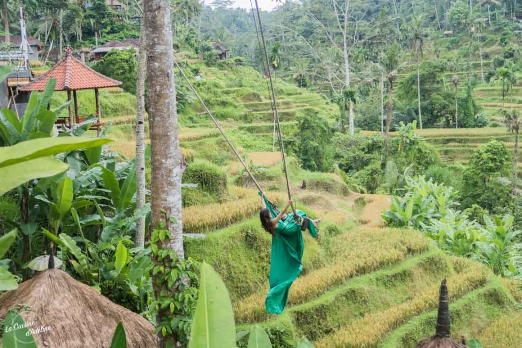 Rizière Tallalang Ubud - Bali