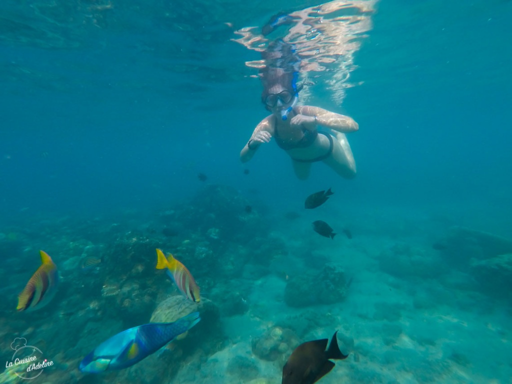 Snorkelling Bali Indonesie