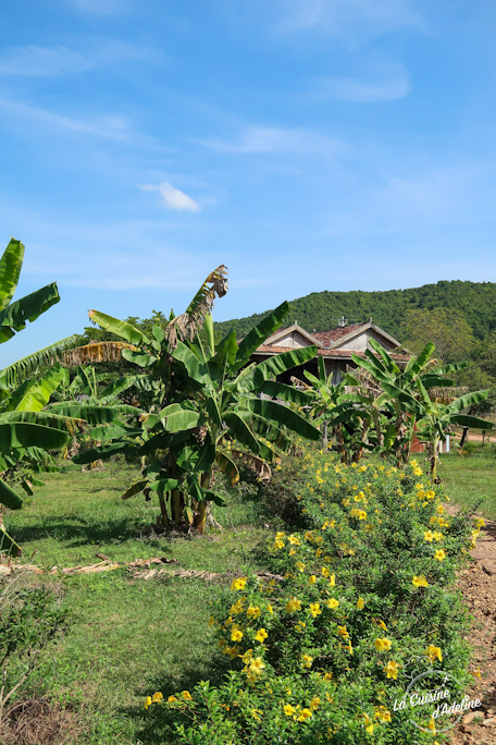 Visite de Kampot Cambodge