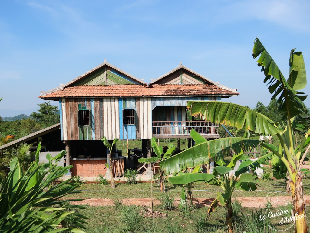 Visite de la plantation poivre de Kampot