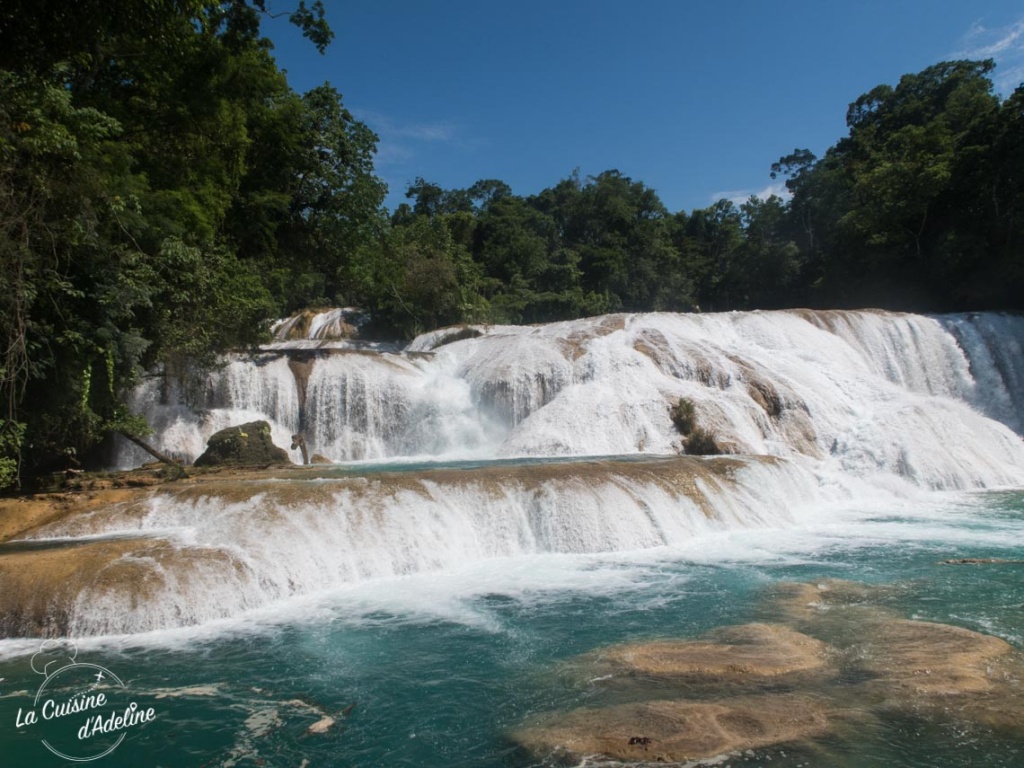 Agua Azul chutes Pallenque Mexique