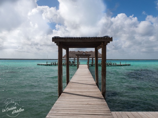 Bacalar laguna eau turquoise