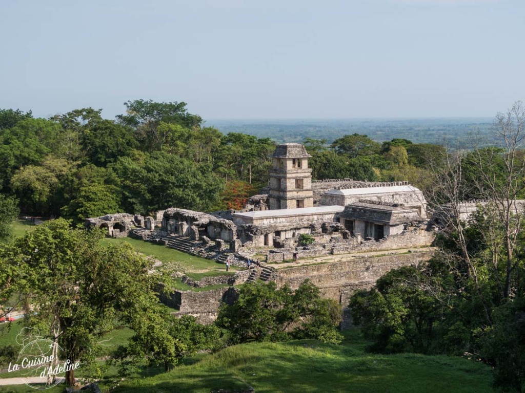 Pallenque site archéologique Mexique