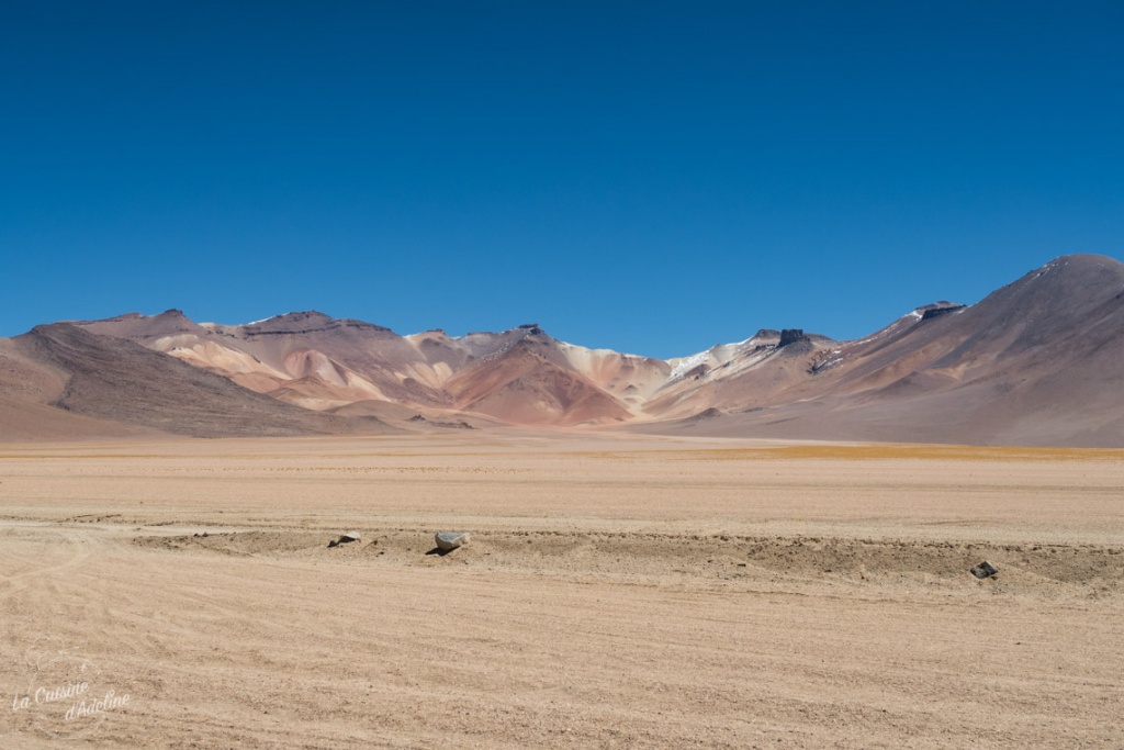 Desert Salvador Dali Sud Lipez Bolivie