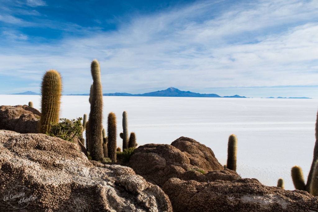 Isla Incahuasi Salar d'Uyuni