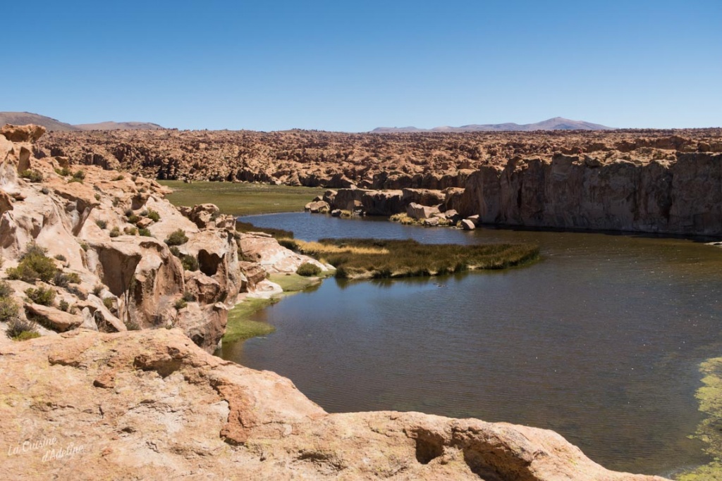 Laguna Negra Bolivie Road trip Salar d'Uyuni