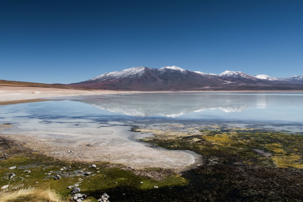 Laguna verde Sud Lipez Bolivie road trip Salar Uyuni