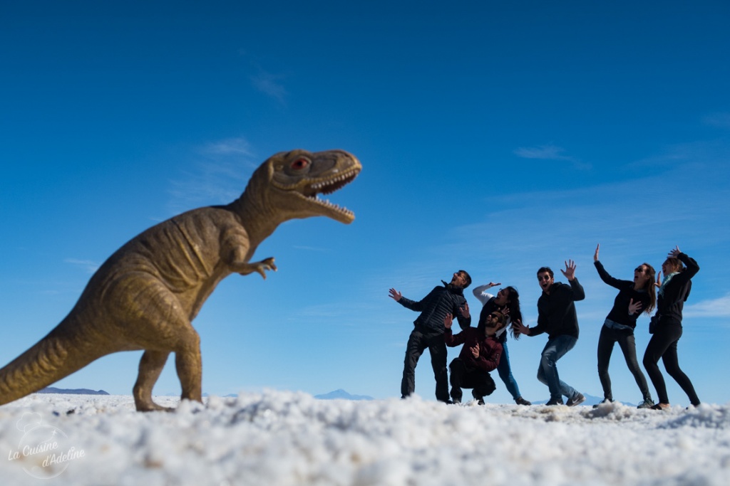 Photo en perspective au Salar d'Uyuni idée