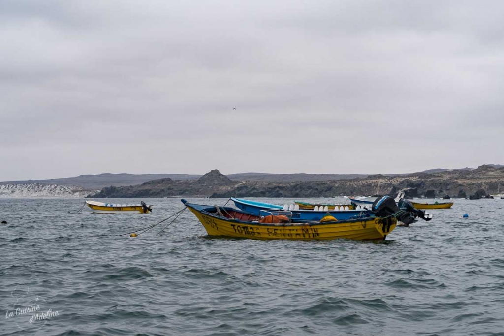 Isla Damas Punta Choros Chili port