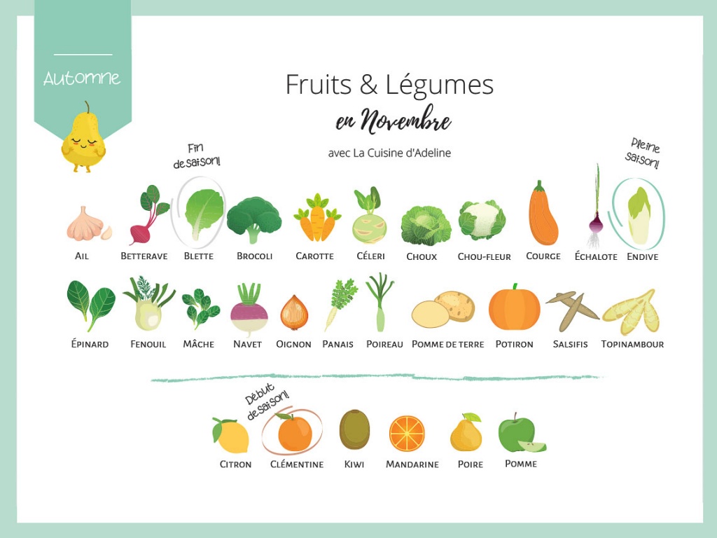 Fruits et légumes de saison en novembre - Liste et idées recettes