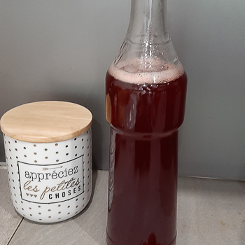 Sandra 23 - Sirop de fraises #