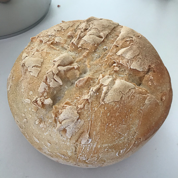 Faire son pain au levain, une recette facile! – Feuille de choux