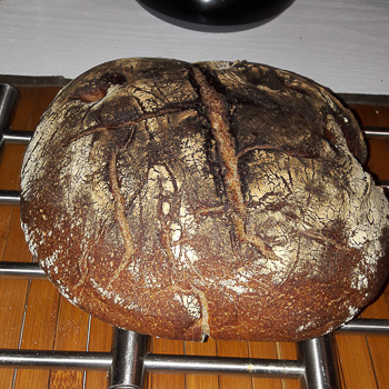 MyosotisSG - Pain au levain #