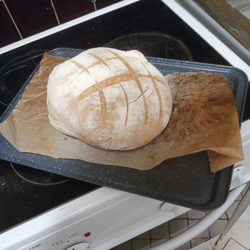 Faire son pain au levain maison – saveurhealthy