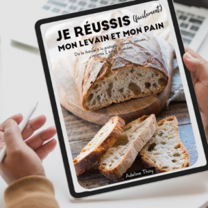 Ebook Levain format numérique